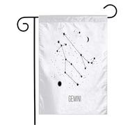 Drapeau Astrologie Petit Signe Zodiaque Simple Sur Sagesse Papier Inspirant Blanc Points Signes Symboles Renforcé Avec Décoratif Drapeaux, Pour Les Bureaux, Les Défilés, 30x45cm