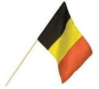 Drapeau Belgique 48 X 32 Cm Sur Hampe 80 Cm - Noir, Jaune, Rouge Rouge G