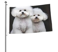 Drapeau bichon frisé 6,1 x 0,9 m - Impression double face - Drapeau de jardin pour l'extérieur - Bannière cadeau avec œillets - Toile de fond pour photo pour décoration intérieure et extérieure