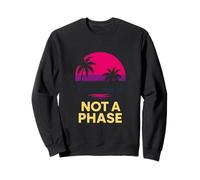 Drapeau Bisexuel Pride Not a Phase Retro pour homme LGBTQ+ Sweatshirt