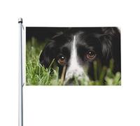 Drapeau Border Collie noir en polyester double face, 152 x 91 cm, avec œillets, pour jardin.