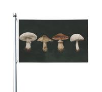 Drapeau botanique vintage avec quatre champignons pour maison, maison, 9,1 x 1,5 m, bannière de vœux avec œillets, décoration d'intérieur et d'extérieur