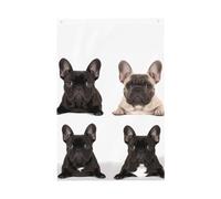 Drapeau bouledogue français 61 x 91 cm Double face Ne se décolore pas Drapeau de jardin Drapeau de cour Drapeau avec bannière extérieure en laiton Décoration pour cour, porche, pelouse