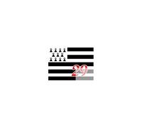 Drapeau Breton 29 - 10x7cm - Sticker/Autocollant