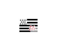 Drapeau Breton 56 - 10x7cm - Sticker/Autocollant