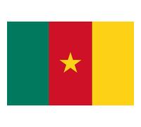 Drapeau Cameroun - 19.5 X 13 Cm - Sticker/Autocollant