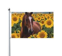 Drapeau cheval et tournesol 9,5 x 1,5 m double face avec œillets en laiton qui ne se décolore pas, bannière de vœux, décoration d'intérieur ou d'extérieur