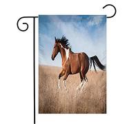 Drapeau Cheval Pie Rouge Ensoleillé Et Magnifique, Courant Sur Strawberryroan, Couleurs Partielles, Animaux Des Champs, Faune Imprimé Bannière De Drapeaux, Pour Les Bureaux, Les Défilés, 30x45cm