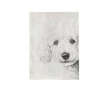 Drapeau Chien Mignon Qui Regarde Drapeau De Bienvenue Couleurs Vives Bannière, Pour Les Bureaux, Les Défilés, Jardin, 30x45cm