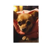 Drapeau Chihuahua déprimé de 9,6 x 1,5 m, drapeaux de jardin vibrants double face, bannière de bienvenue saisonnière avec œillets en laiton, décoration de fond photo pour cour, porche, pelouse