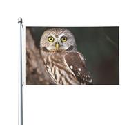 Drapeau Chouette Animal Sauvage Bannière De Drapeaux Renforcé Avec Décoration Bannière À Œillets, Pour Balcon, Les Défilés, Les Bureaux, 90x150cm