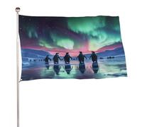 Drapeau Corsaire Décoratifs Drapeaux Aurore Boréale Pingouin Mignon Résistants Aux Intempéries Bruant Pour Événements Bar Manif 90X150Cm