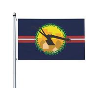 Drapeau Couleurs Vives, Drapeau De Bienvenue Pour La Terrasse De La Maison Du Comté De Saint-Louis, Missouri Renforcé Bruant Pour Extérieur Décoration Drapeaux 90X150Cm