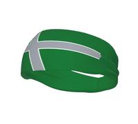 Drapeau d'Albany, Oregon Bandeaux Hommes Femmes Antidérapant Évacuant la Transpiration Sport Bandeau pour Gym Basket-ball Yoga Bandeaux Cheveux