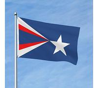 Drapeau d'Anthony, Texas, 90 x 150 cm, bannière extérieure double face avec 2 œillets en laiton, décoration de terrasse et de pelouse.