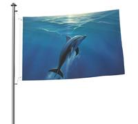 Drapeau dauphin 6,1 x 0,9 m avec impression double face pour l'extérieur, les vacances, bannière cadeau avec œillets, toile de fond pour photo pour décoration intérieure et extérieure