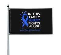 Drapeau de 0,9 x 1,5 m dans cette famille, personne ne se bat seul, drapeaux de sensibilisation au syndrome de Guillain Barre, bannière aux couleurs vives avec œillets en laiton pour décoration intér