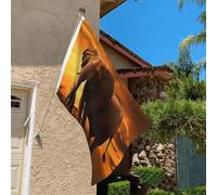 Drapeau de 0,9 x 6,1 m résistant à la décoloration pour extérieur Bannière décorative coucher de soleil parent-enfant éléphant drapeaux de jardin double face avec œillets en laiton Toile de fond