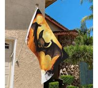 Drapeau de 0,9 x 6,1 m résistant à la décoloration pour extérieur, bannière décorative d'Halloween, chauve-souris, drapeaux de jardin, drapeau mural double face avec œillets en laiton, toile de fond