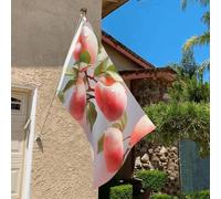 Drapeau de 0,9 x 6,1 m résistant à la décoloration pour extérieur - Bannière décorative - Drapeaux de jardin de pêche double face avec œillets en laiton - Toile de fond amusante pour pelouse, porche
