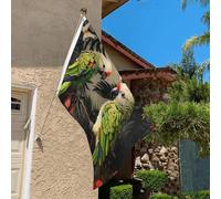 Drapeau de 0,9 x 6,1 m résistant à la décoloration pour extérieur - Bannière décorative pour couple de perroquets - Drapeau de jardin d'olivier double face avec œillets en laiton - Toile de fond