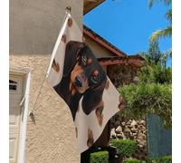 Drapeau de 0,9 x 6,1 m résistant à la décoloration pour extérieur - Bannière décorative pour teckel - Drapeau de jardin double face avec œillets en laiton - Toile de fond amusante pour pelouse, porche