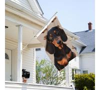 Drapeau de 0,9 x 6,1 m résistant à la décoloration pour extérieur - Bannière décorative pour teckel - Drapeau de jardin double face avec œillets en laiton - Toile de fond amusante pour pelouse, porche
