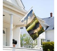 Drapeau de 0,9 x 6,1 m résistant à la décoloration pour extérieur, bannière décorative pour terrain de golf, jardin, drapeau mural double face avec œillets en laiton, toile de fond amusante pour