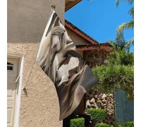 Drapeau de 0,9 x 6,1 m résistant à la décoloration pour l'extérieur - Bannière décorative à deux chevaux, drapeaux de jardin, drapeau mural double face avec œillets en laiton - Toile de fond amusante