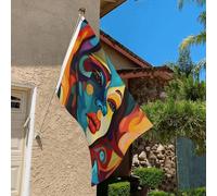 Drapeau de 0,9 x 6,1 m résistant à la décoloration pour l'extérieur - Bannière décorative abstraite colorée - Drapeau de jardin double face avec œillets en laiton - Toile de fond amusante pour pelouse