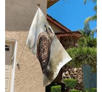 Drapeau de 0,9 x 6,1 m résistant à la décoloration pour l'extérieur - Bannière décorative aquarelle de faucon assis dans l'arbre - Drapeau de jardin double face avec œillets en laiton - Toile de fond