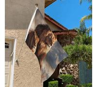 Drapeau de 0,9 x 6,1 m résistant à la décoloration pour l'extérieur - Bannière décorative avec deux lions - Drapeau de jardin double face avec œillets en laiton - Toile de fond amusante pour pelouse
