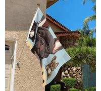 Drapeau de 0,9 x 6,1 m résistant à la décoloration pour l'extérieur - Bannière décorative - Bulldog français - Drapeau de jardin mignon - Drapeau mural double face avec œillets en laiton - Toile de