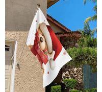 Drapeau de 0,9 x 6,1 m résistant à la décoloration pour l'extérieur - Bannière décorative - Chapeau de Père Noël - Drapeaux de jardin double face avec œillets en laiton - Toile de fond amusante pour