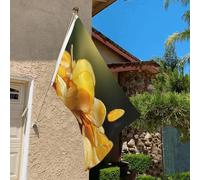 Drapeau de 0,9 x 6,1 m résistant à la décoloration pour l'extérieur - Bannière décorative - Chips de pommes de terre - Drapeaux de jardin double face avec œillets en laiton - Toile de fond amusante