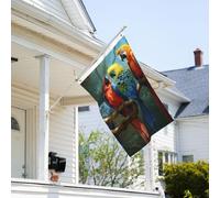 Drapeau de 0,9 x 6,1 m résistant à la décoloration pour l'extérieur - Bannière décorative colorée - Drapeau de jardin double face avec œillets en laiton - Toile de fond amusante pour pelouse, porche