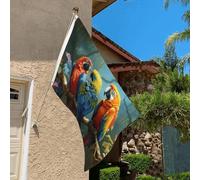 Drapeau de 0,9 x 6,1 m résistant à la décoloration pour l'extérieur - Bannière décorative colorée - Drapeau de jardin double face avec œillets en laiton - Toile de fond amusante pour pelouse, porche