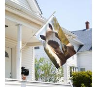 Drapeau de 0,9 x 6,1 m résistant à la décoloration pour l'extérieur - Bannière décorative en forme d'animal de poney cheval - Drapeau de jardin double face avec œillets en laiton - Toile de fond
