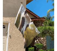 Drapeau de 0,9 x 6,1 m résistant à la décoloration pour l'extérieur - Bannière décorative en forme d'animal de poney cheval - Drapeau de jardin double face avec œillets en laiton - Toile de fond