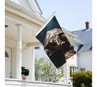 Drapeau de 0,9 x 6,1 m résistant à la décoloration pour l'extérieur - Bannière décorative en forme de tortue - Drapeau de jardin double face avec œillets en laiton - Toile de fond amusante pour