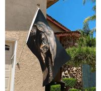 Drapeau de 0,9 x 6,1 m résistant à la décoloration pour l'extérieur - Bannière décorative en forme de tortue - Drapeau de jardin double face avec œillets en laiton - Toile de fond amusante pour