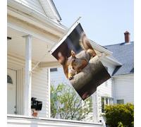 Drapeau de 0,9 x 6,1 m résistant à la décoloration pour l'extérieur - Bannière décorative en forme d'écureuil qui vient de poser des drapeaux de jardin - Drapeau mural double face avec œillets en