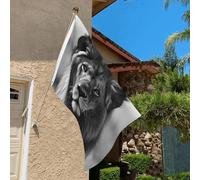 Drapeau de 0,9 x 6,1 m résistant à la décoloration pour l'extérieur - Bannière décorative - Lion africain noir et blanc - Drapeau de jardin double face avec œillets en laiton - Toile de fond amusante