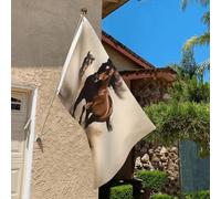 Drapeau de 0,9 x 6,1 m résistant à la décoloration pour l'extérieur - Bannière décorative pour animaux - Cheval - Drapeau de jardin double face avec œillets en laiton - Toile de fond amusante pour