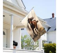 Drapeau de 0,9 x 6,1 m résistant à la décoloration pour l'extérieur - Bannière décorative pour animaux - Cheval - Drapeau de jardin double face avec œillets en laiton - Toile de fond amusante pour