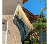 Drapeau de 0,9 x 6,1 m résistant à la décoloration pour l'extérieur - Bannière décorative pour avions de chasse - Drapeaux de jardin double face avec œillets en laiton - Toile de fond amusante pour