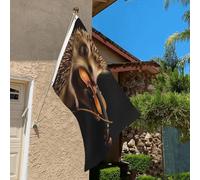 Drapeau de 0,9 x 6,1 m résistant à la décoloration pour l'extérieur - Bannière décorative pour extérieur, hérisson, violon de musique, violon, drapeau de jardin, drapeau mural double face avec œillets