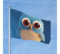 Drapeau de 1,2 x 1,8 m - Motif chouette de dessin animé - Drapeaux amusants pour toutes les saisons - Pour décoration de dortoir, fête en plein air