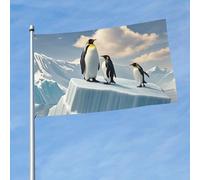 Drapeau de 150 cm x 90 cm double face pour l'extérieur avec 2 œillets de décoration, drapeaux de cour, pingouins sur l'iceberg, drapeaux de bienvenue en polyester pour toutes les saisons