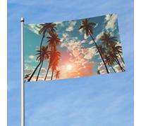 Drapeau de 150 cm x 90 cm pour extérieur et intérieur avec œillets - Printemps été - Palmiers et nuages - Pour extérieur, jardin, cour, bannière décorative - Drapeau de bienvenue saisonnier pour